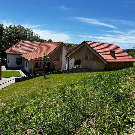 Domeniul Bondarelului Hotel Ocolisu Mic Buitenkant foto