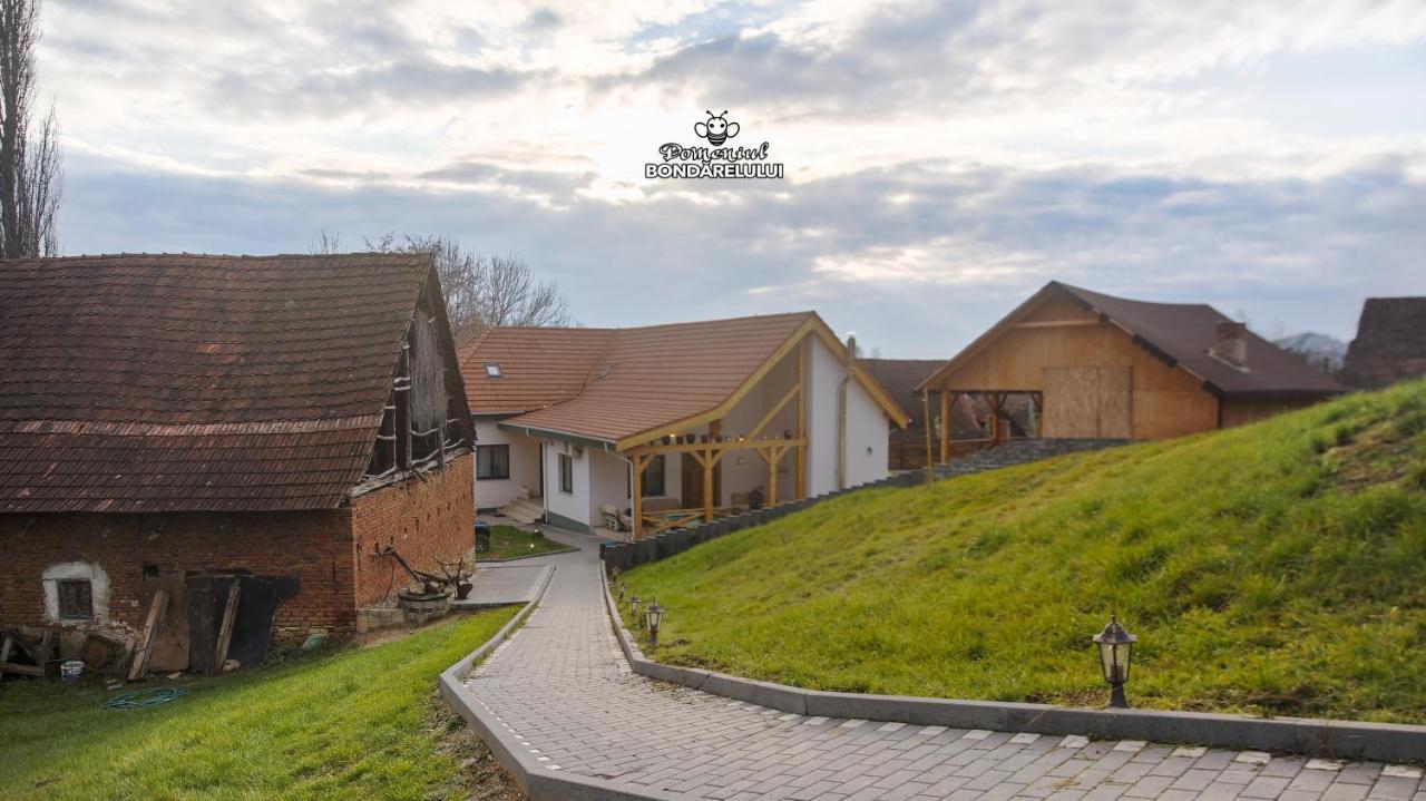 Domeniul Bondarelului Hotel Ocolisu Mic Buitenkant foto