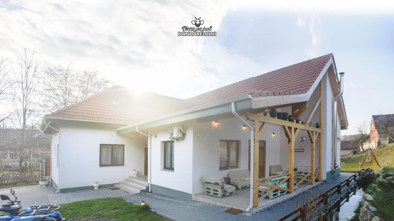 Domeniul Bondarelului Hotel Ocolisu Mic Buitenkant foto