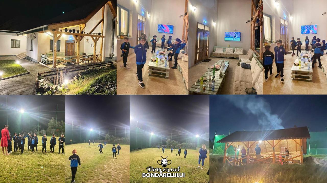 Domeniul Bondarelului Hotel Ocolisu Mic Buitenkant foto