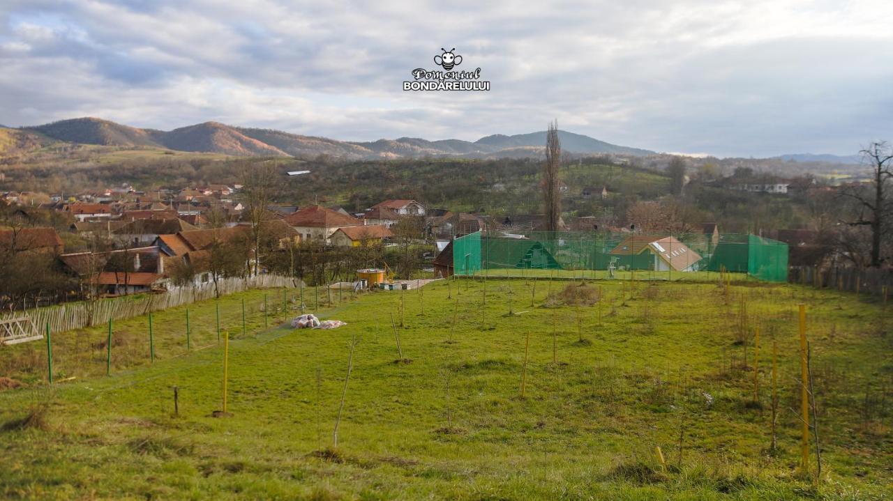 Domeniul Bondarelului Hotel Ocolisu Mic Buitenkant foto
