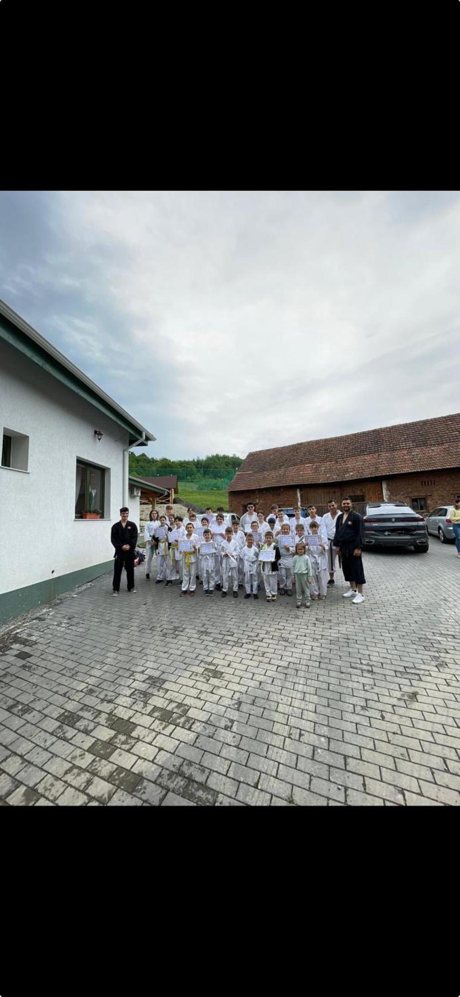 Domeniul Bondarelului Hotel Ocolisu Mic Buitenkant foto