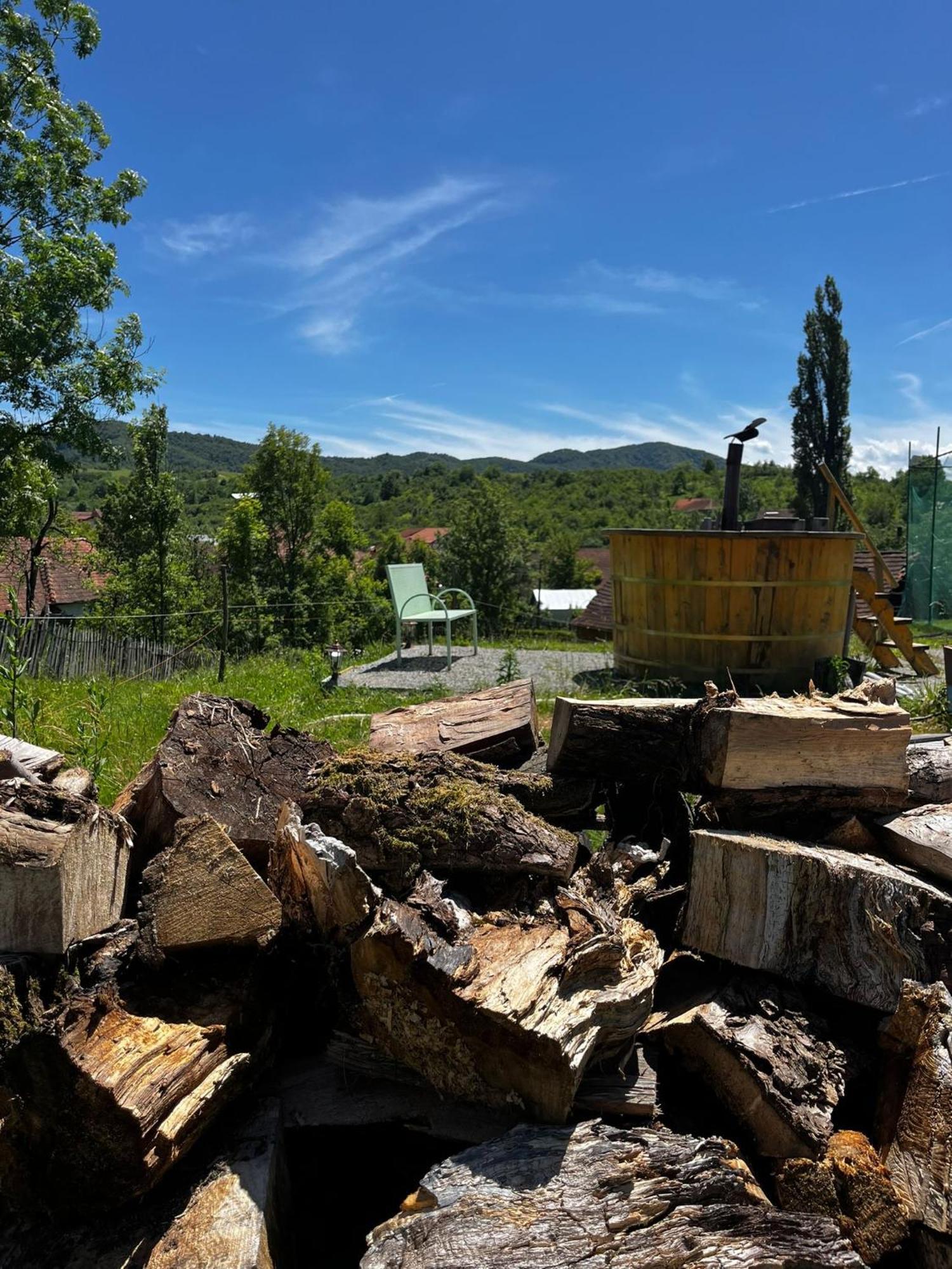 Domeniul Bondarelului Hotel Ocolisu Mic Buitenkant foto