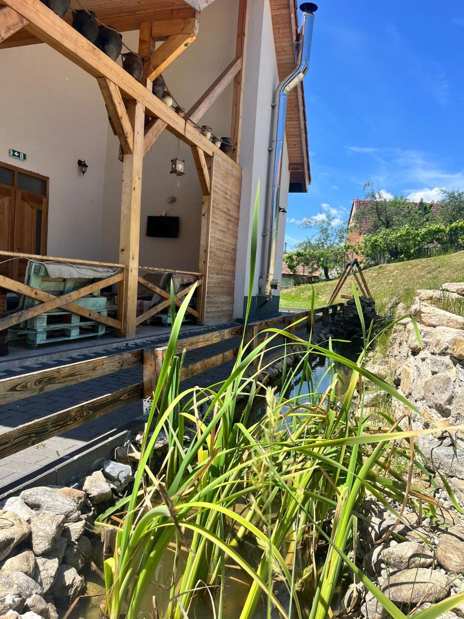 Domeniul Bondarelului Hotel Ocolisu Mic Buitenkant foto