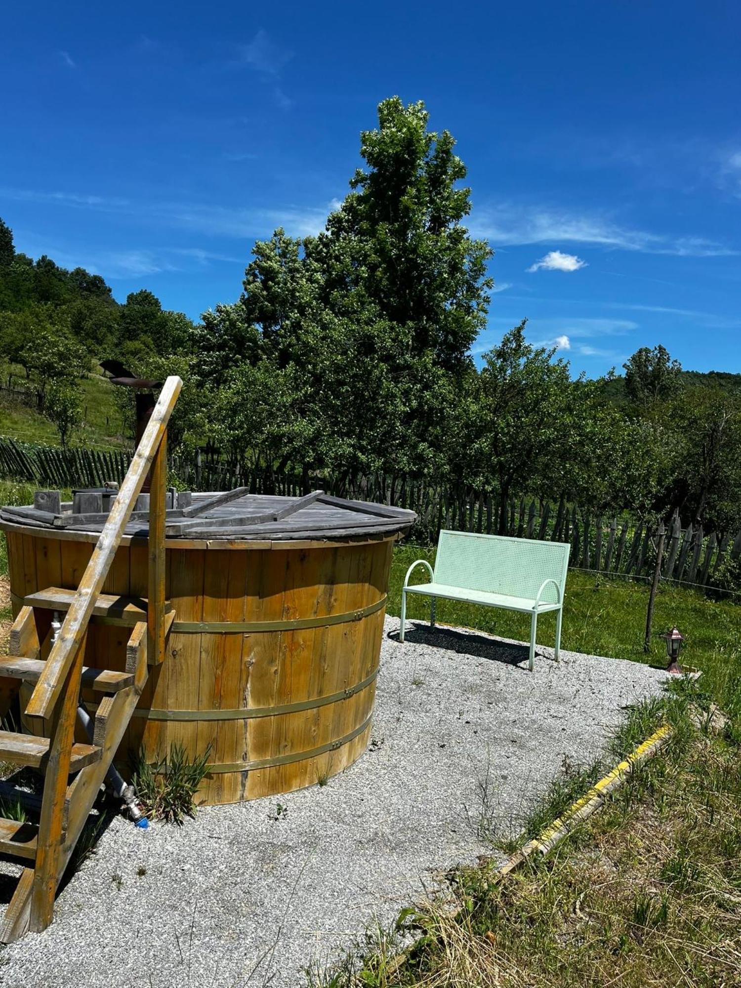 Domeniul Bondarelului Hotel Ocolisu Mic Buitenkant foto