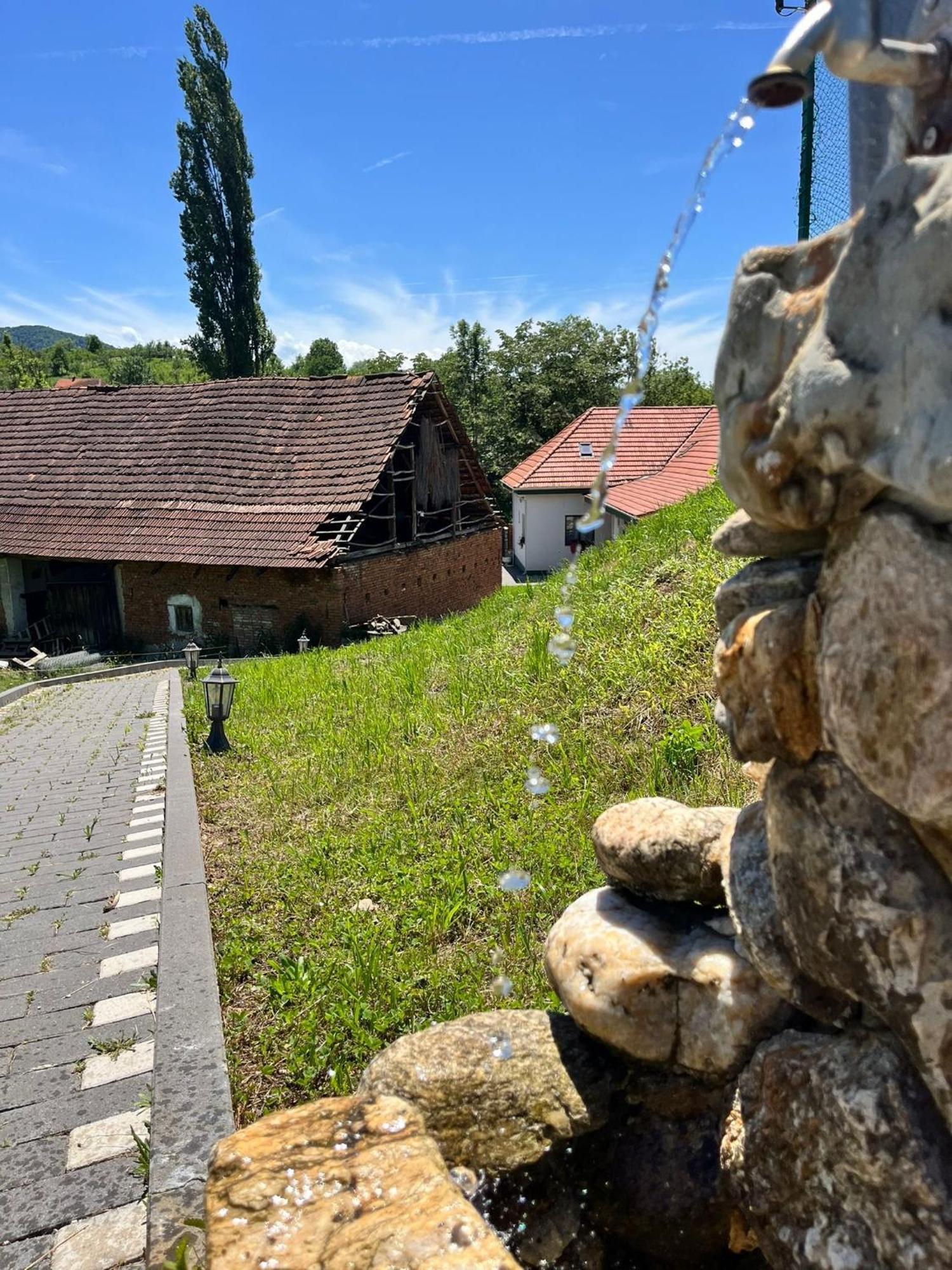 Domeniul Bondarelului Hotel Ocolisu Mic Buitenkant foto